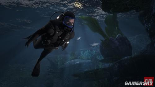 GTA5游泳操作指南 GTA5游泳怎么操作_单机_