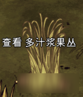 属性: