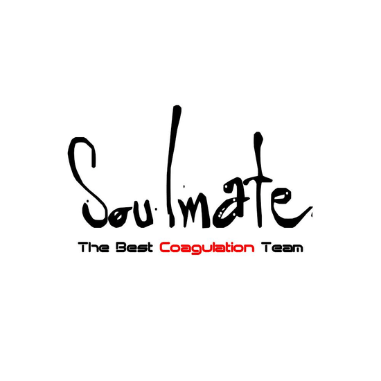 Soulmate战队LOGO