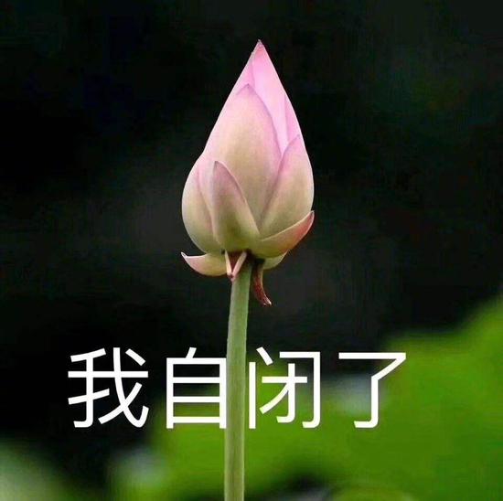 ӭλ飬Ա˿ɲҪ~