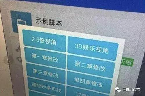 谢成开发的外挂可以实现作弊功能。检方供图