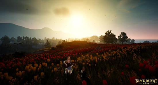 ˬ���ս��ϵͳ