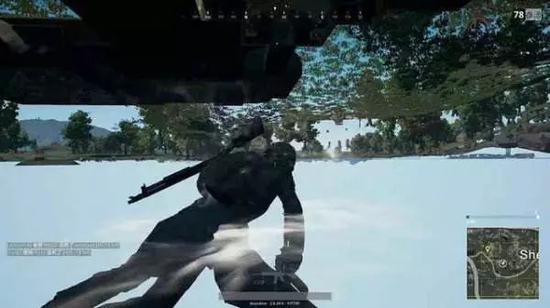 曾经很常见的游泳bug,现在已经很少见到了