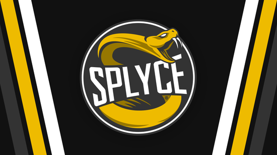 “SPLYCE战队”的图片搜索结果