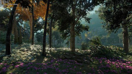 µ꣺⡷4Kֱʼ޻ʽͼչʾ