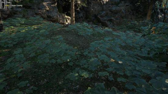 µ꣺⡷4Kֱʼ޻ʽͼչʾ