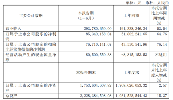 电魂网络半年报数据