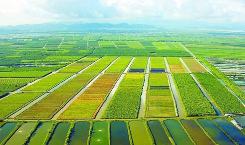 DFCC大丰链：区块链技术与农业溯源相结合 打造新型农业时代