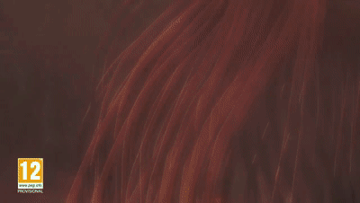 �������¡���Ұ֮Ϣ��Ԥ��Ƭ�����Ѿ��µ�������