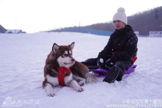 王思聪和他的爱犬