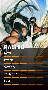 拉希德 RASHID