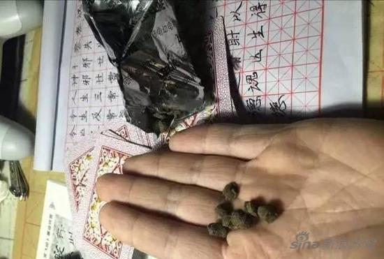 熊孩子把龟粮当零食吃了