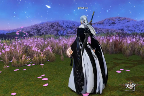 一世一双人 网游《天谕》结契玩法总结_网络游