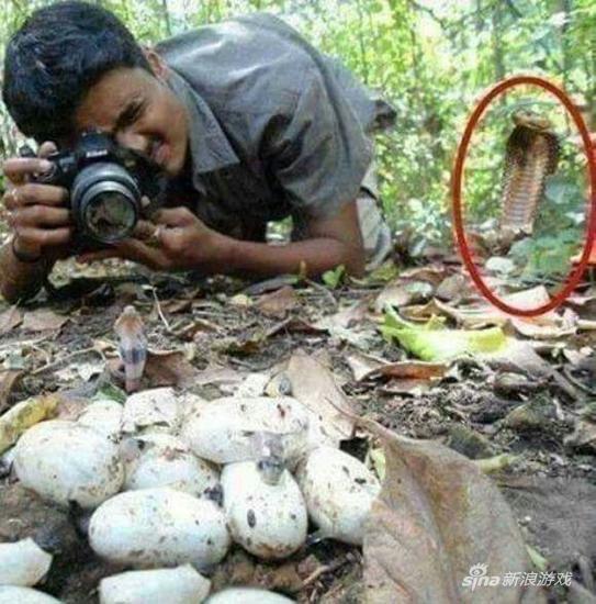 蛇:面对疾风吧!