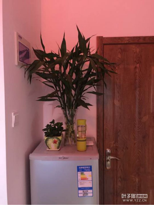 梦幻西游误信同行用高科技 结果号全被封