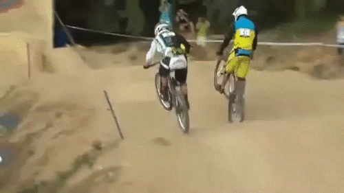 我有姿势我自豪每日囧吐槽:变成狗也要好好生活