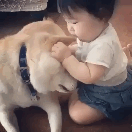 我有姿势我自豪每日囧吐槽:晚上六点秋名山见