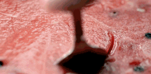 挖出来千万别掉地上！