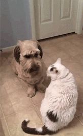 敬酒不吃吃罚酒！