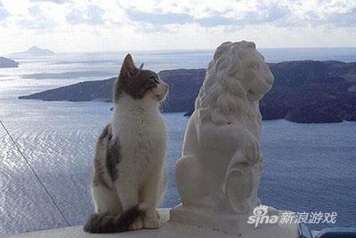 论喜欢一个人是什么眼神