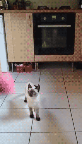 我有姿势我自豪每日囧吐槽:小荷才露尖尖角_雷人囧图