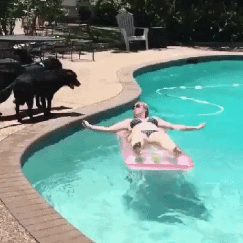 上了车才告诉我是去割蛋蛋——   570万平方公里的大青岛国即将成立