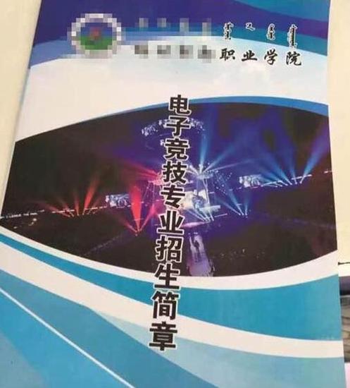 某职业学院开办电竞专业 学制两年直升大专-新