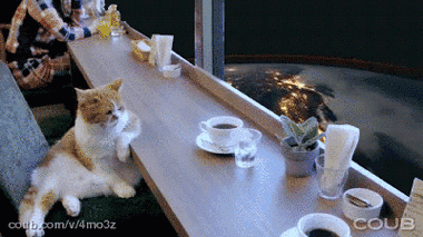 我有姿势我自豪每日囧吐槽:先赚上它一个亿_雷人囧图