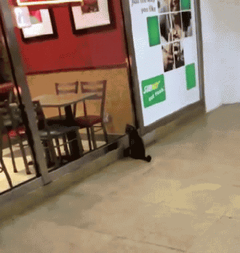 我有姿势我自豪每日囧吐槽:胖得那么猝不及防