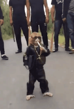 4 男人越老越有魅力;   5 我就蹭蹭不进去