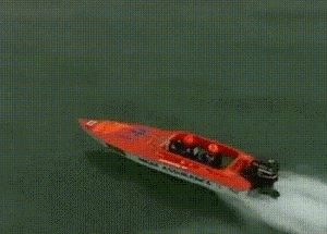 壁纸 动物 昆虫 鱼 鱼类 桌面 300_215 gif 动态图 动图