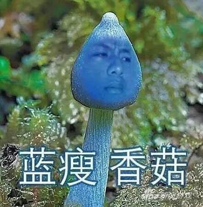 蓝瘦，香菇