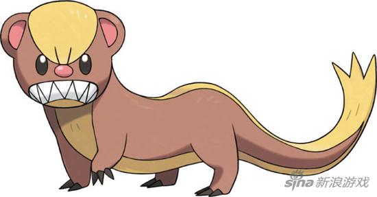 猫鼬少此前被指长得像美国总统唐纳德·特朗