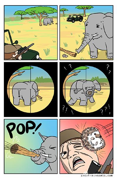 可悲的是，现实中这样大象只有被打死切掉象牙的可能