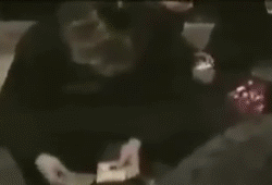 我抽到了!!!