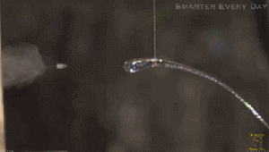 300_170gif 动态图 动图