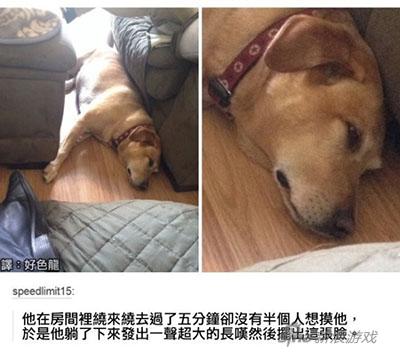 生无可恋的表情
