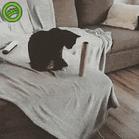 我有姿势我自豪每日囧吐槽:好基友一被子