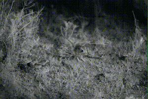 我有姿势我自豪每日囧吐槽:这俩人吵架了么