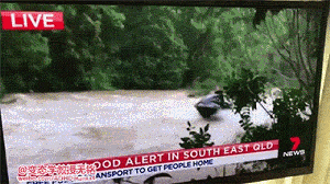 我有姿势我自豪每日囧吐槽:春天啊,终于来了_雷人囧图