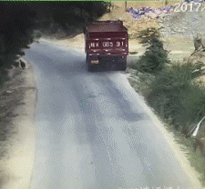 摩托车:吓老子一跳还好没事