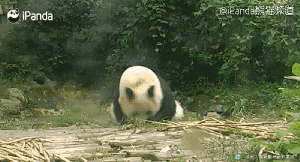 听从我的召唤吧!起!水元素!