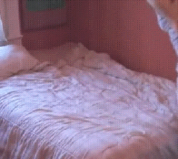 明儿见!