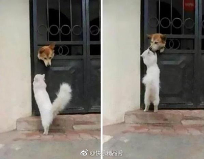 “傻X,有种出来打我啊!”