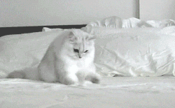 我手机呢?!