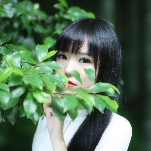 清弄