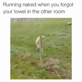 洗完澡发现忘了带毛巾，裸着身子出去拿的你