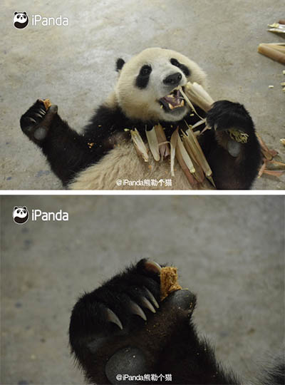 最后一口啊,舍不得吃的