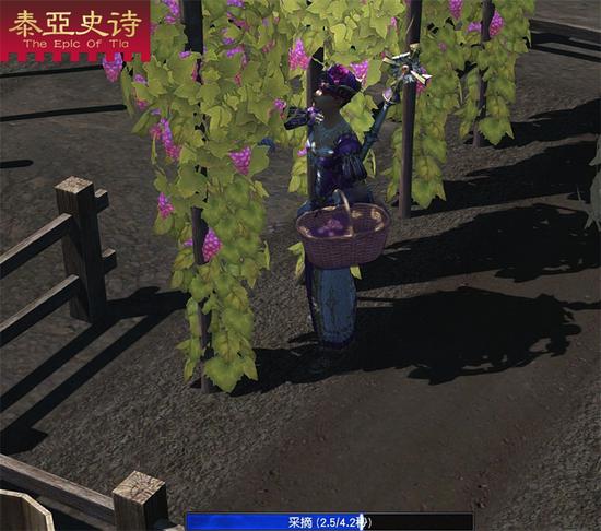 采摘水果,满载而归