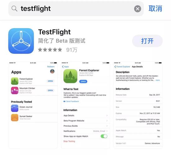 TestFlight app